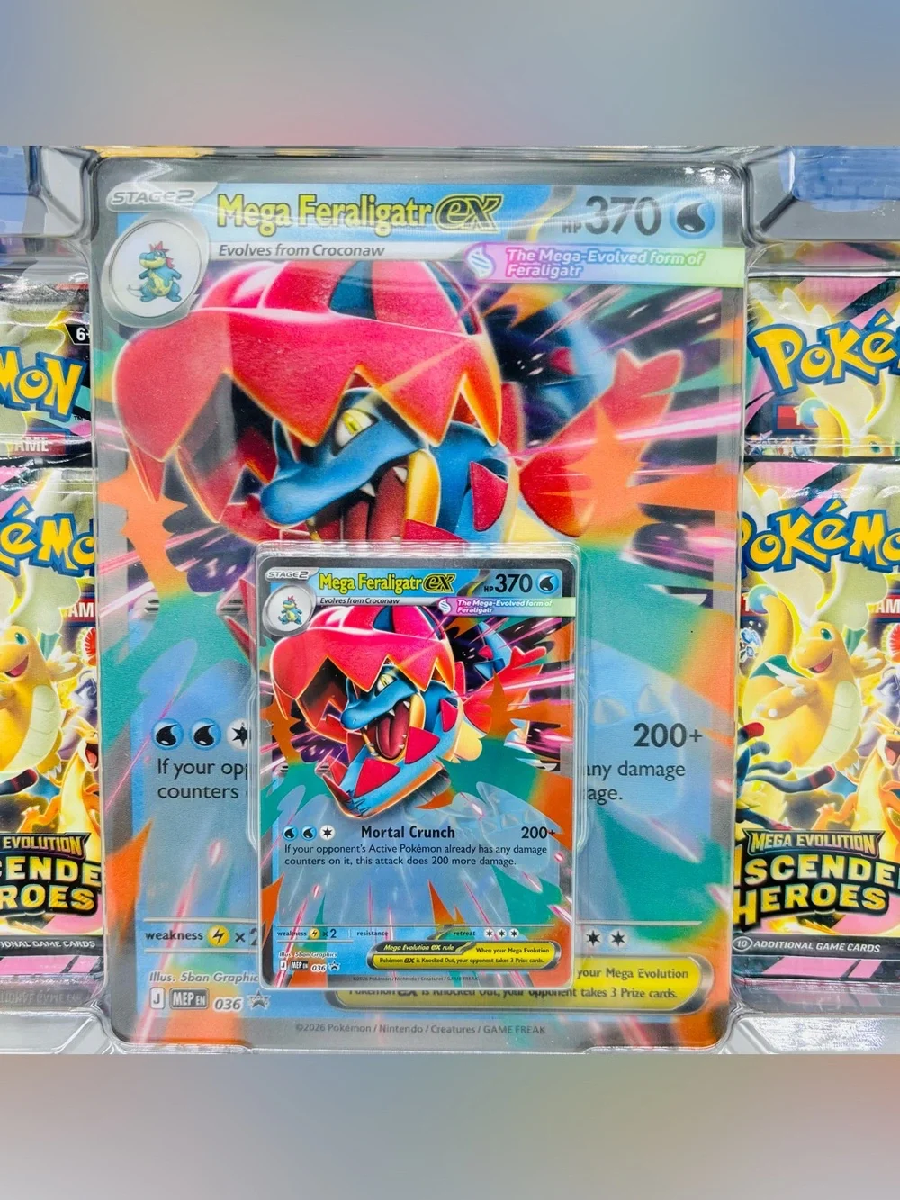 Pokemon TCG Mega Feraligatr ex Box Ascended Heroes Complete Sealed Damaged Box